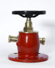 Fire Hydrants Valve 2
